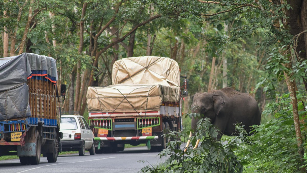 Human-animal conflict in Karnataka | CM approves 8-point countermeasure plan