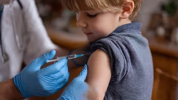 <div class="paragraphs"><p>Credit: Meta AI</p></div>