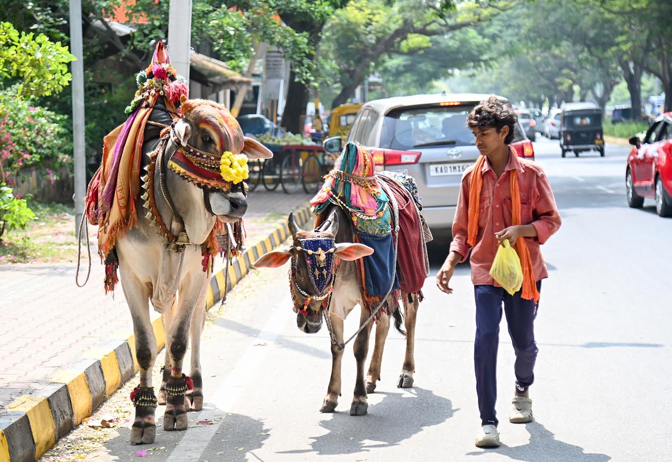  The members of Kolebasava community roam sings in exchange for alms.
