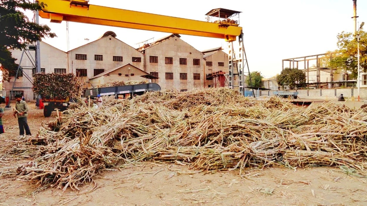 Sugarcane stir ends as factories agree to pay Rs 3,300 per tonne, clear dues