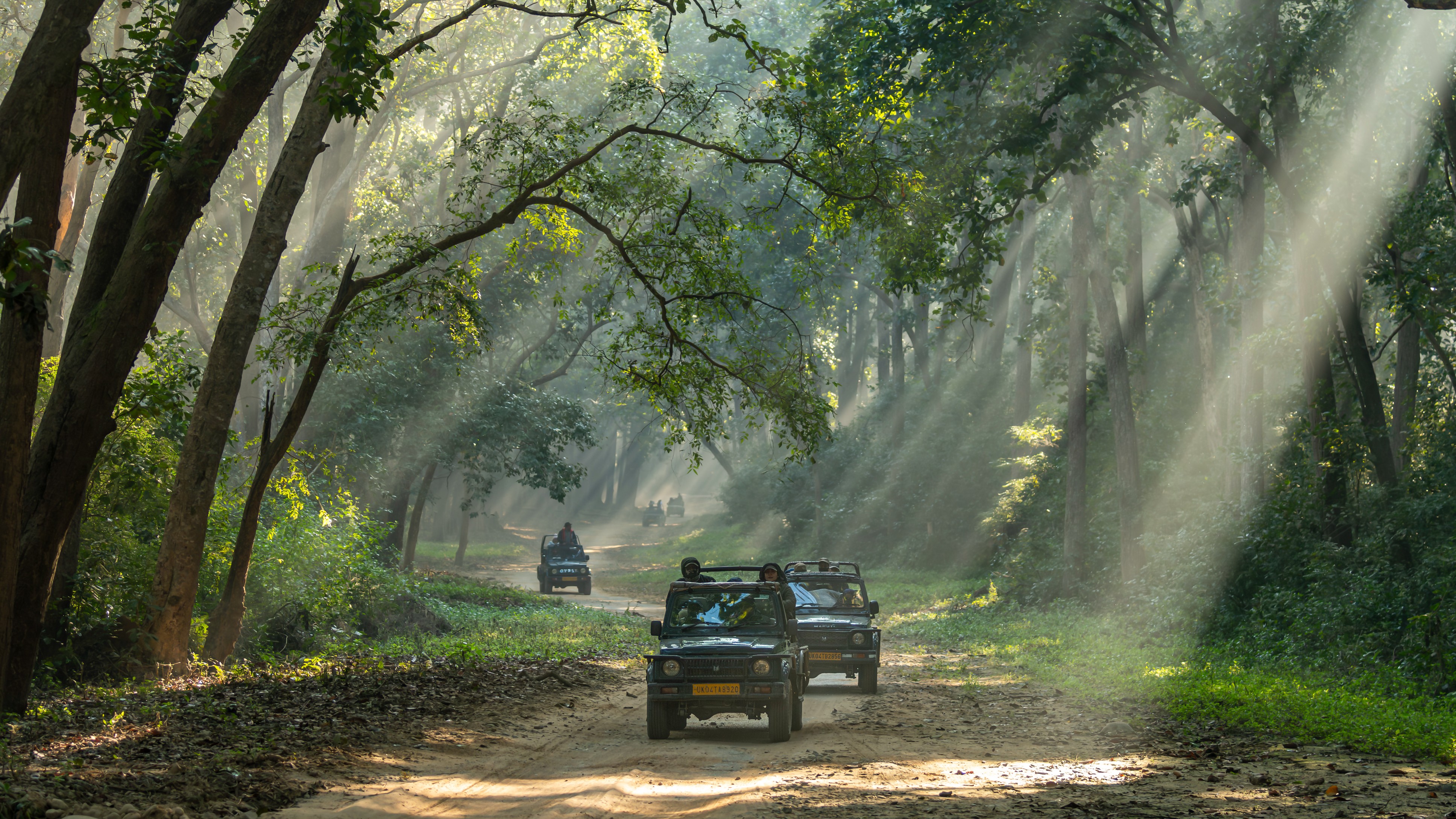 Supreme Court directs Uttarakhand govt to take steps to restore Jim Corbett Tiger Reserve