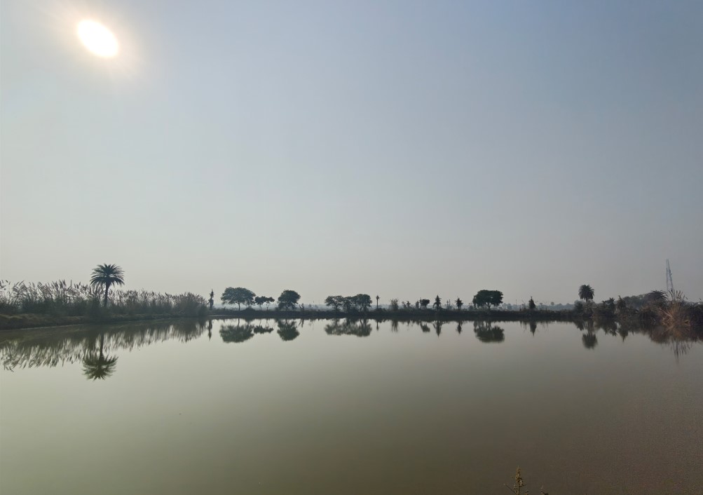 OnePlus 15's camera sample with ultra-wide angle mode.