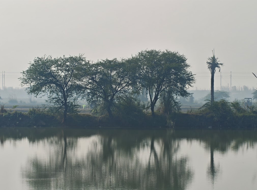 OnePlus 15 camera sample with 7X optical zoom.