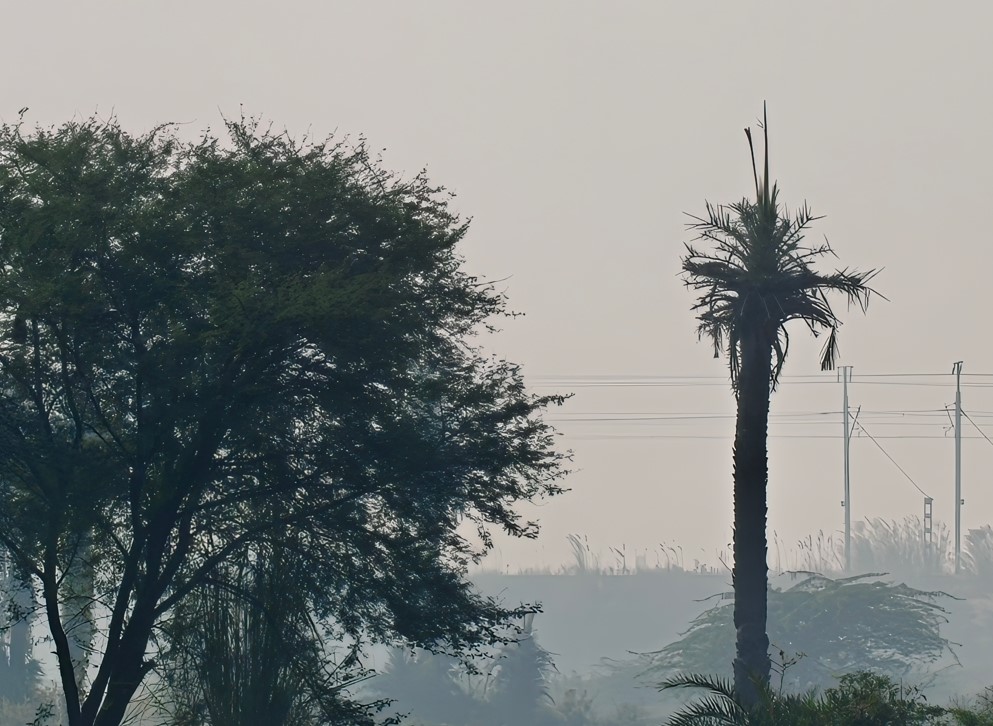 OnePlus 15 camera sample with 30X digital zoom.