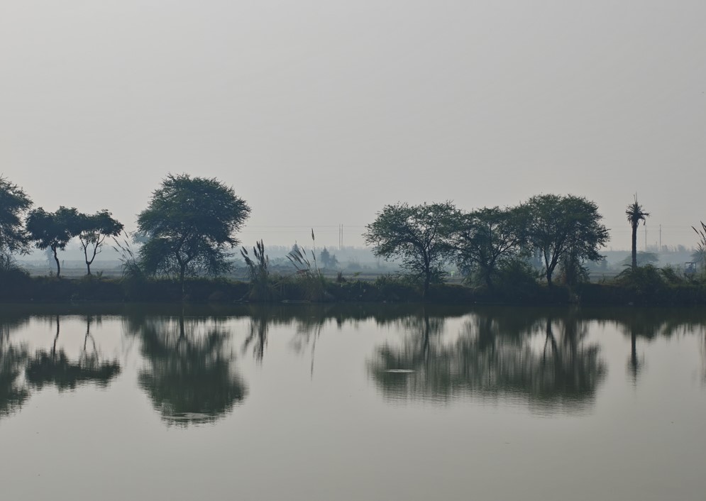 OnePlus 15 camera sample with 3.5X optical zoom.