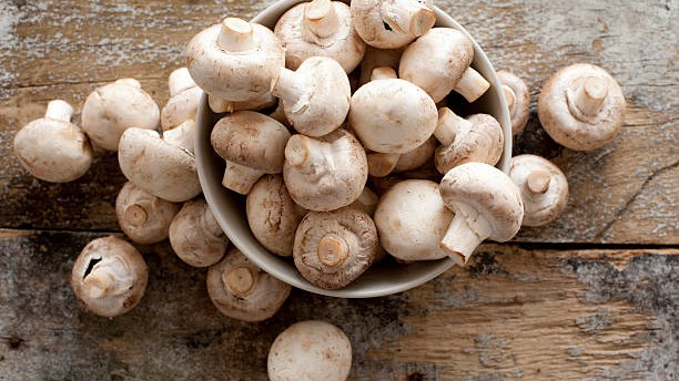 131 children employed as labourers rescued from mushroom manufacturing unit in Raipur