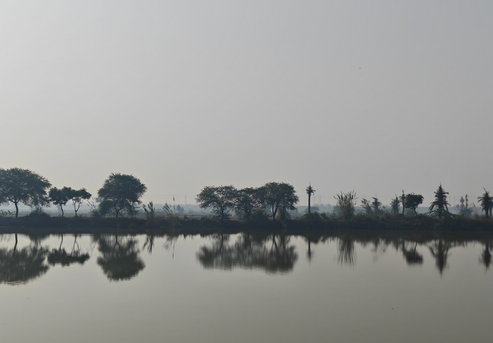 OnePlus 15 camera sample with 2X optical zoom.