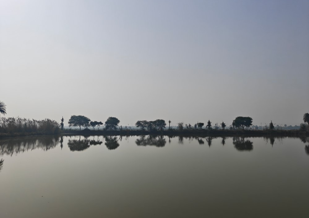 OnePlus 15 camera sample with normal field of view.