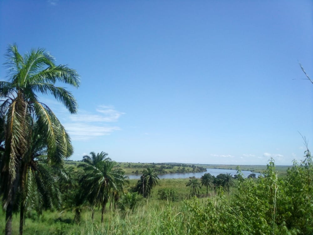 <div class="paragraphs"><p>Credit: Wikimedia Commons</p></div>