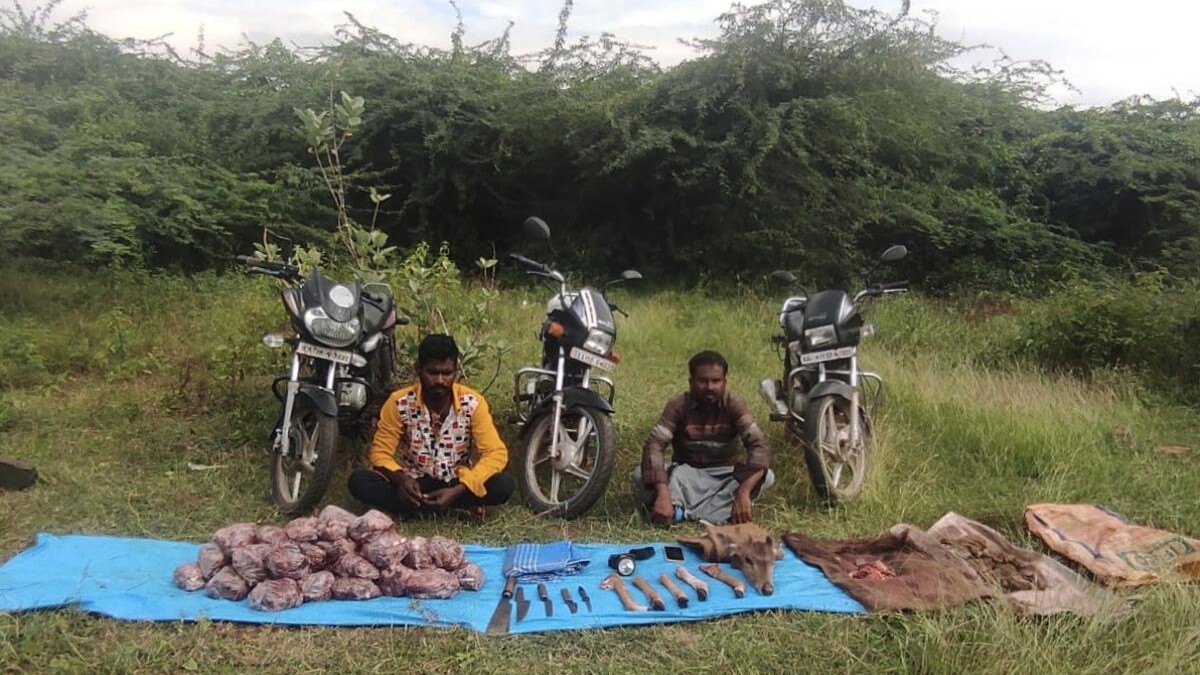 Two held for poaching deer in Chamarajanagar's Kollegal; 43 kg meat seized