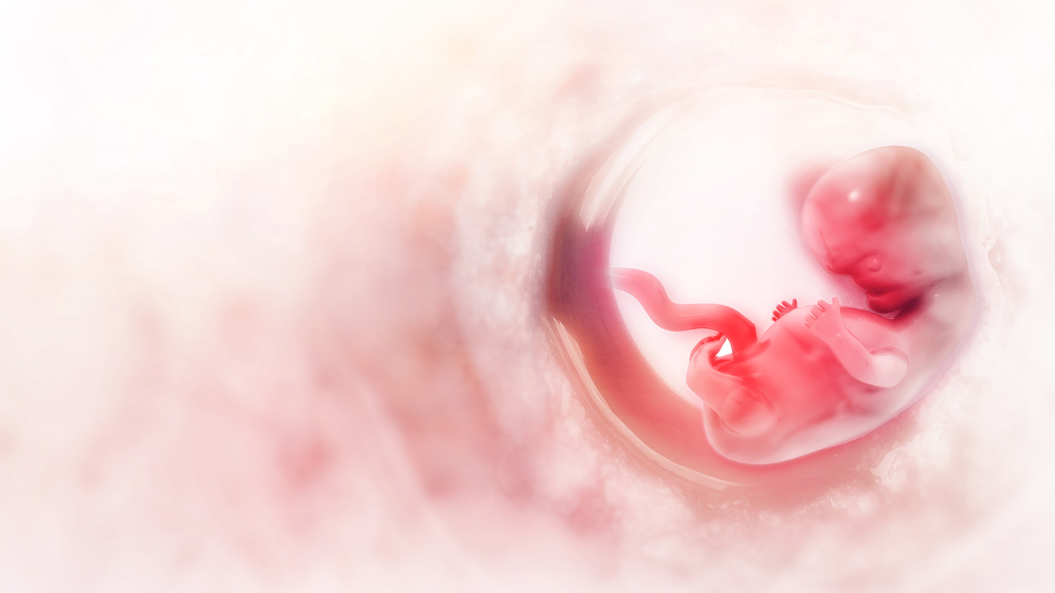 Indian scientists identify fundamental genetic switch for implantation