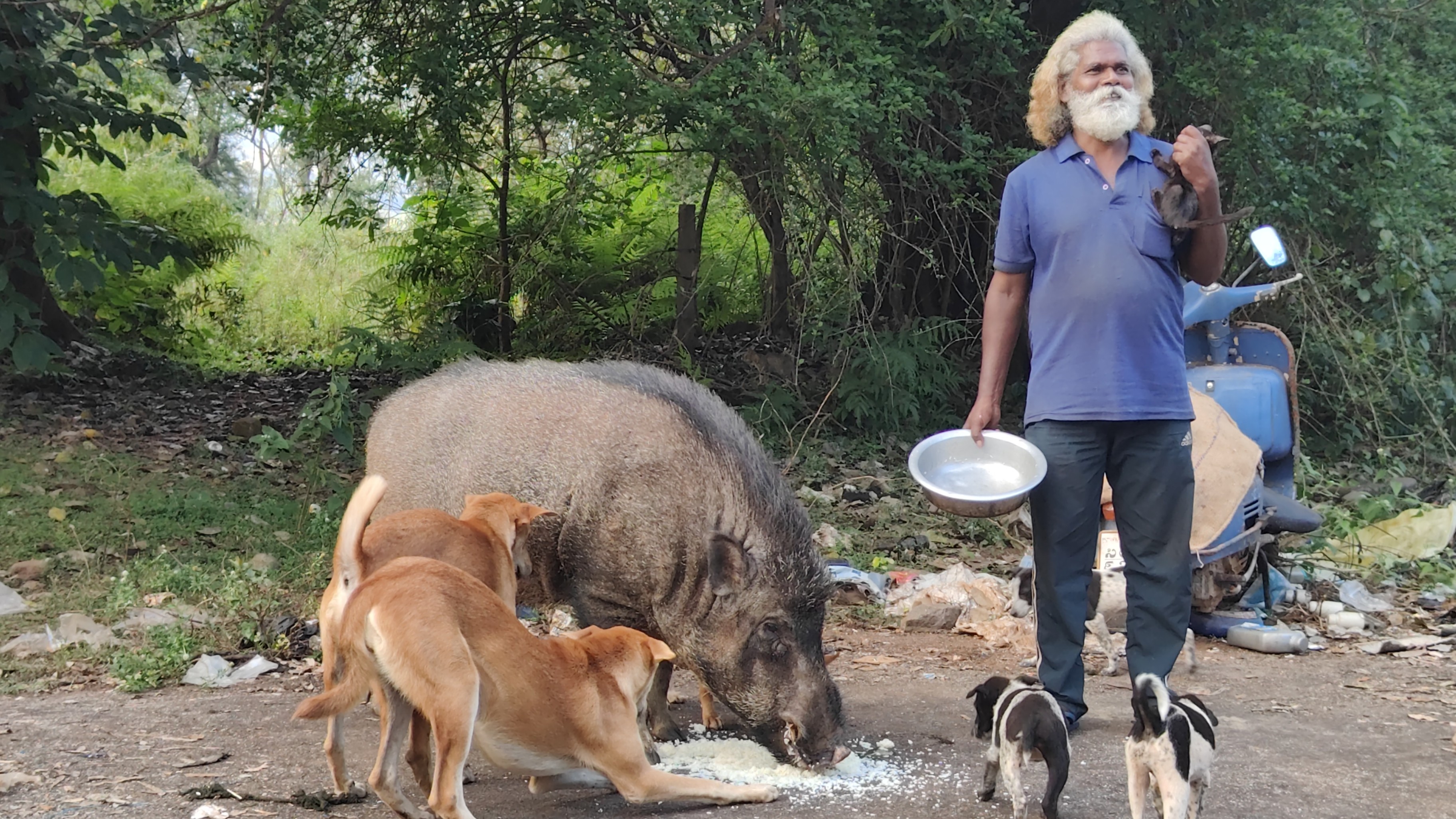 Kudremukh mechanic becomes lifeline to strays and a wild boar visiting him daily for 11 years
