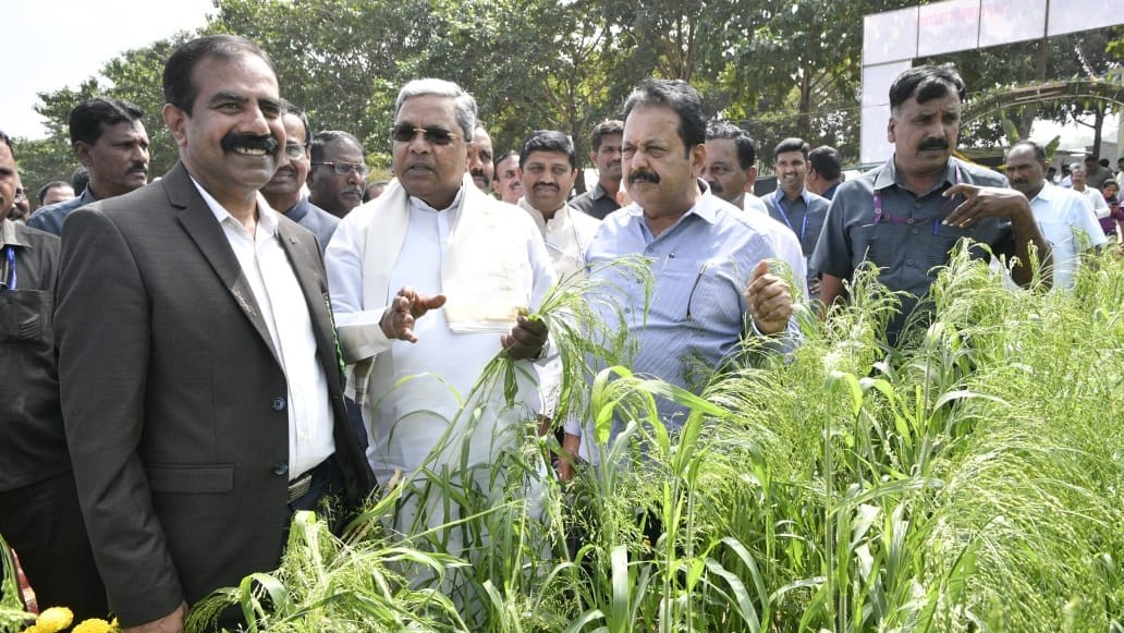 Karnataka: CM Siddaramaiah seeks Centre’s intervention as maize, green gram prices plunge