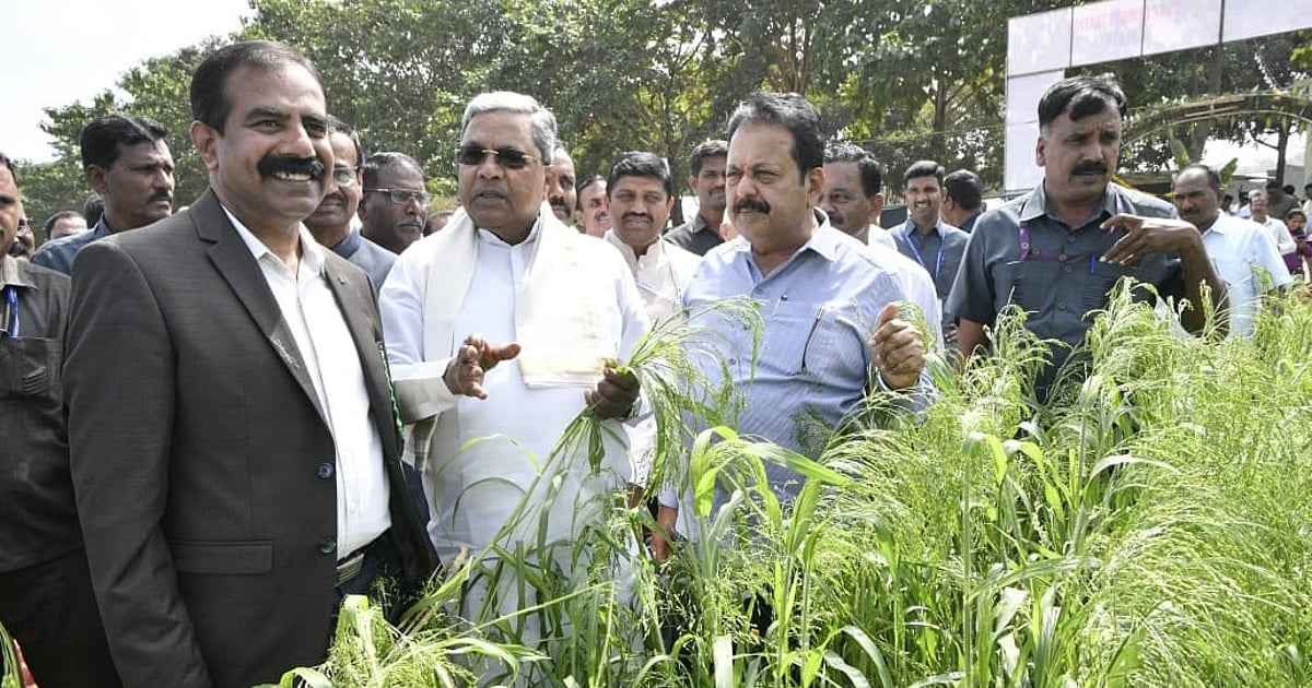 Karnataka CM Seeks Centre's Help as Maize, Green Gram Prices Plunge
