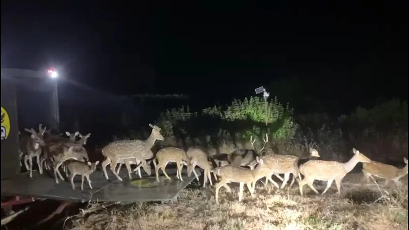 Sahyadri Tiger Reserve Maharashtra forest dept and RESQ Charitable Trust (RESQ CT) join hands to strengthen scientific wildlife management