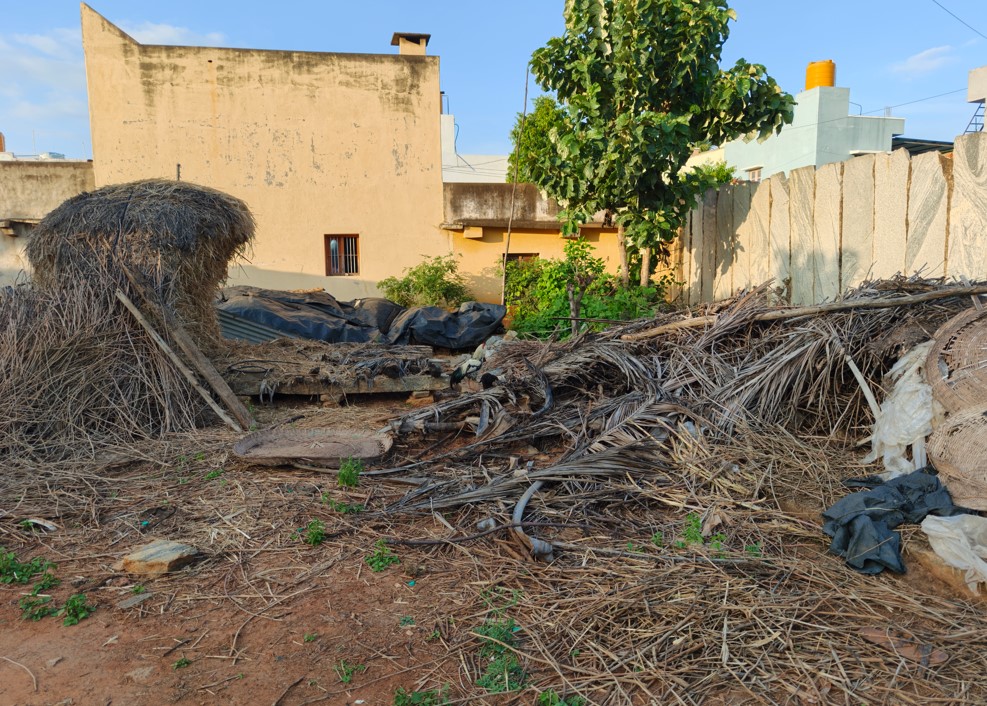 Oppo Find X9's camera sample.