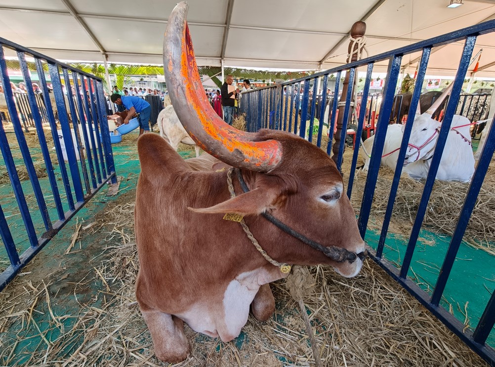 Oppo Find X9's camera sample.