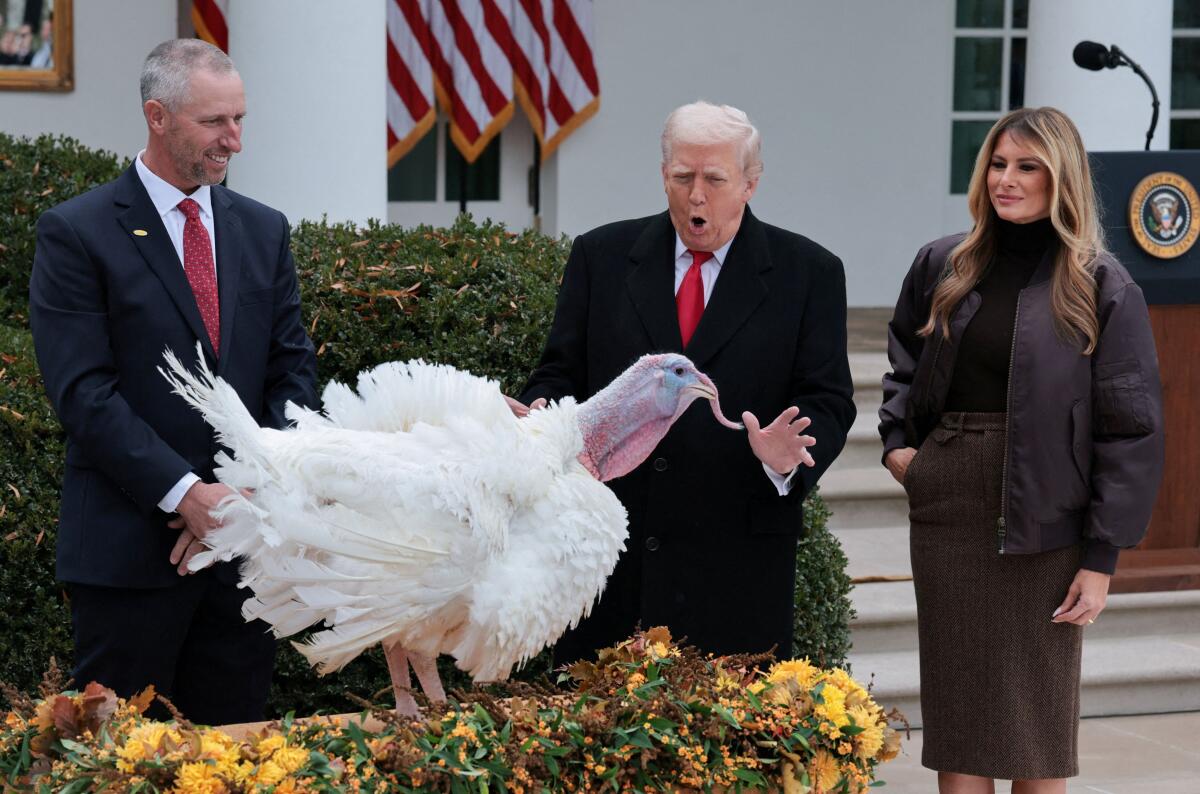 U.S. President Donald Trump and U.S. first lady look at Gobble, one of two turkeys ceremonially pardoned for Thanksgiving, in the Rose Garden at the White House in Washington, D.C., U.S., November 25, 2025.