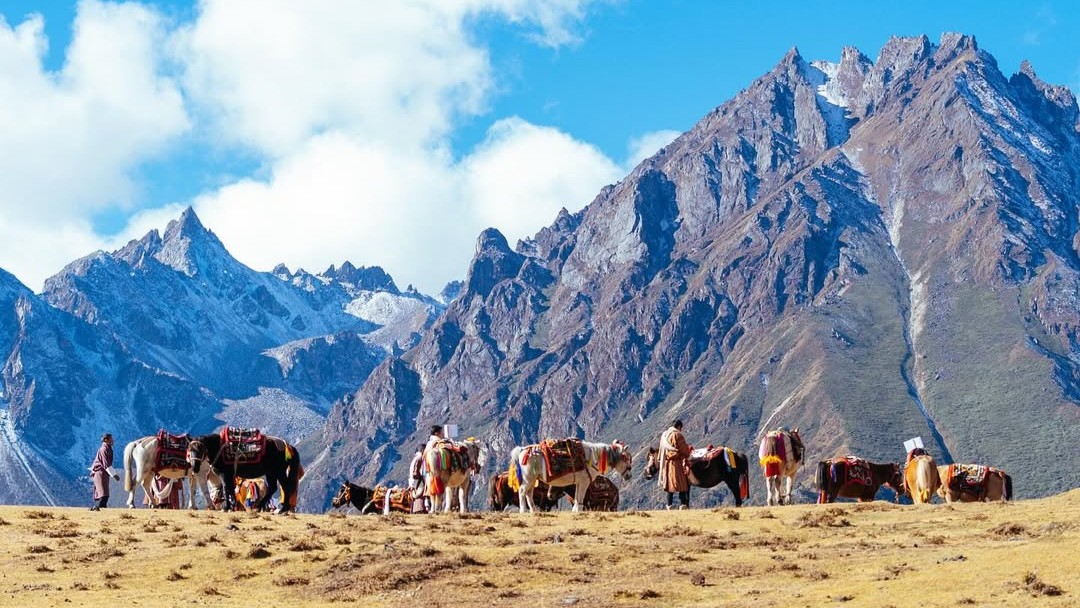 Perfect winter break! 8 Visa-free countries for Indians to go on holiday