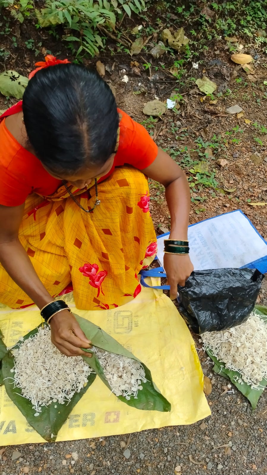 A woman sells wild mushrooms by the roadside in Joida. Photo by Jayanand Derekar