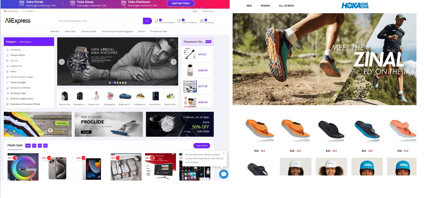 Fake websites created by cyber criminals.