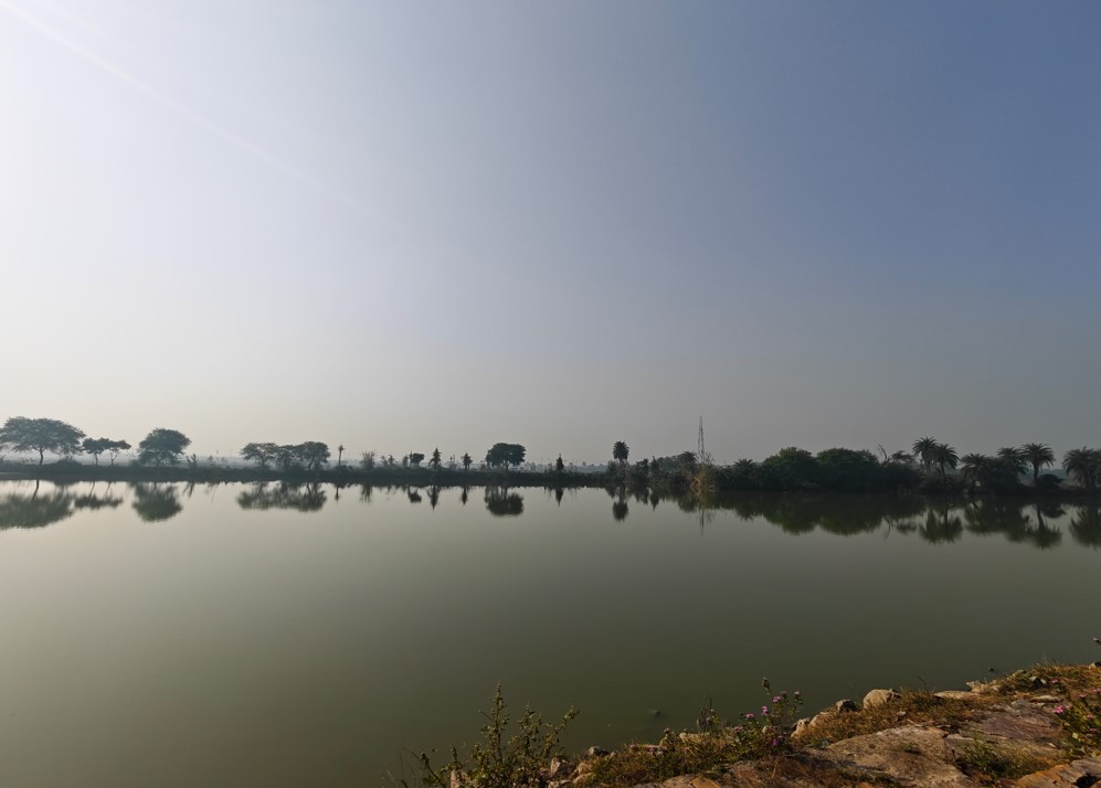 iQOO 15's camera sample.