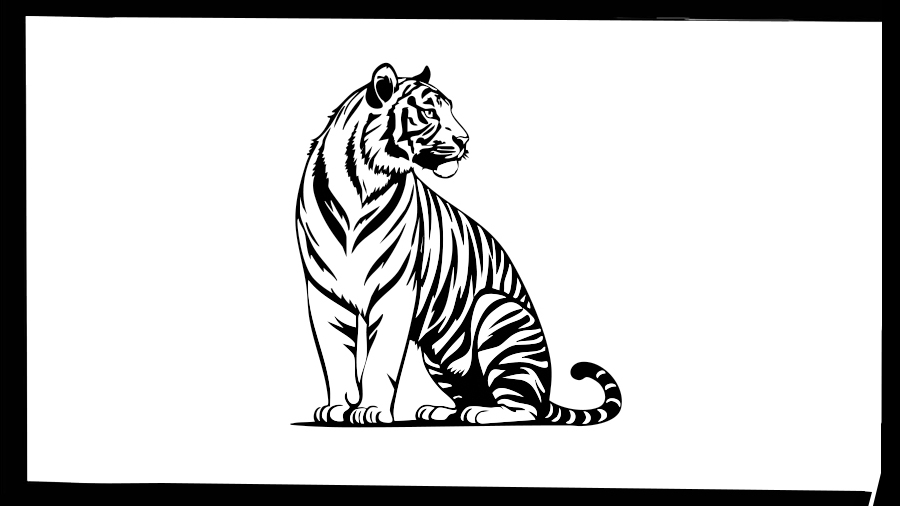 When tigers outgrow their habitats