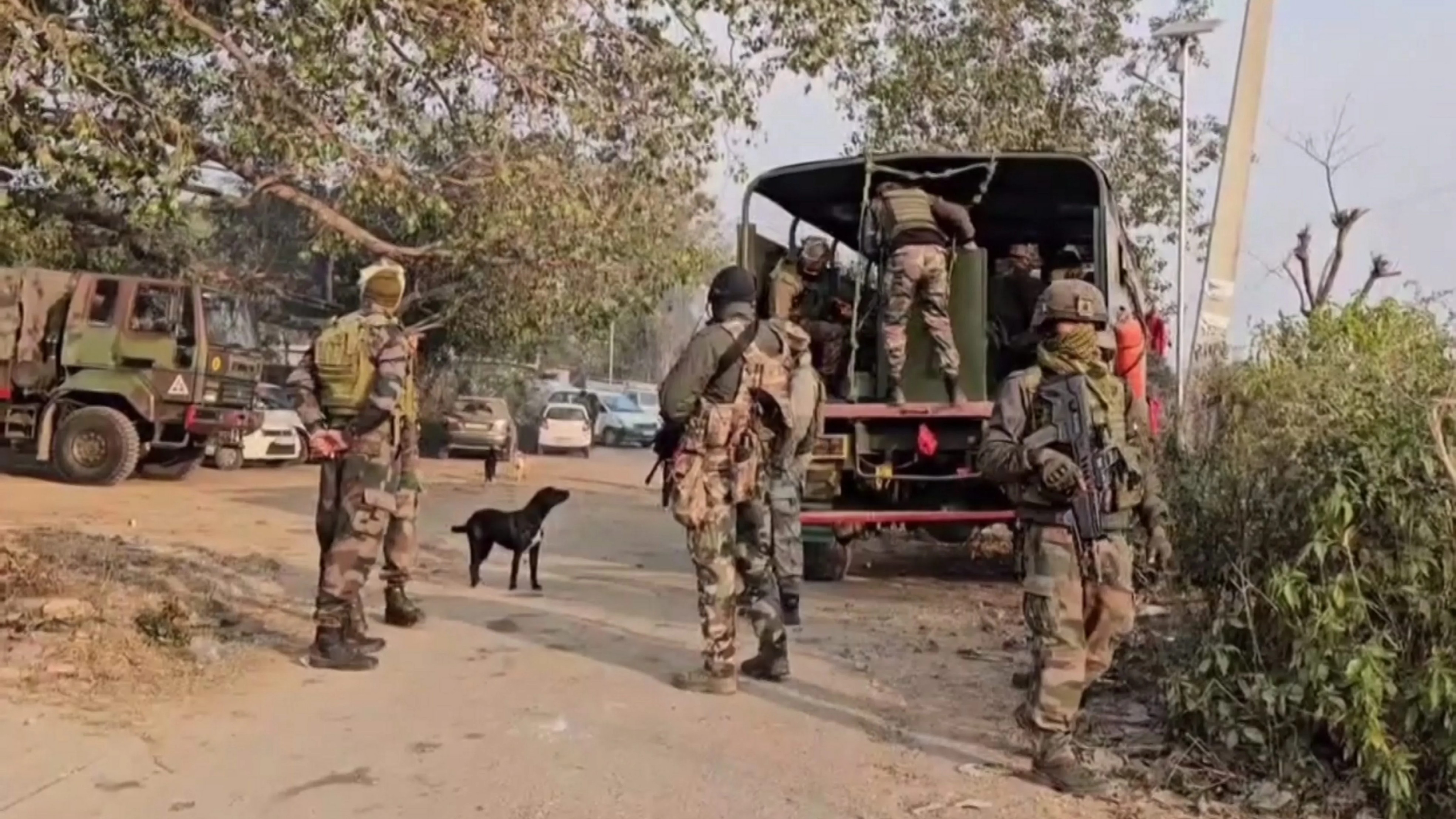 Search operation launched after suspicious movement in Jammu & Kashmir's Udhampur