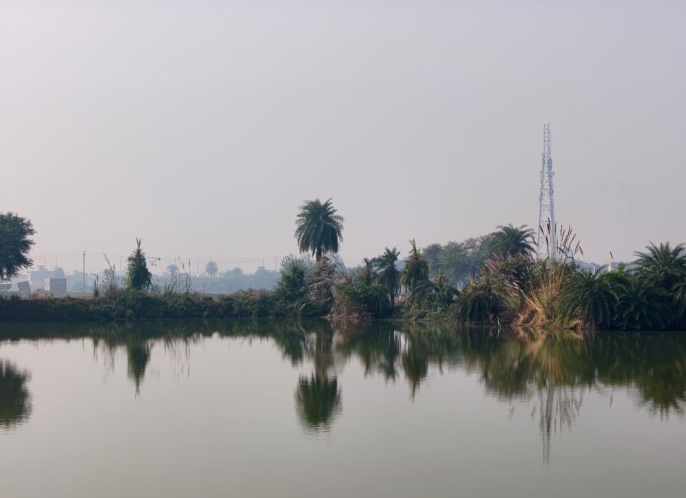 iQOO 15's camera sample.