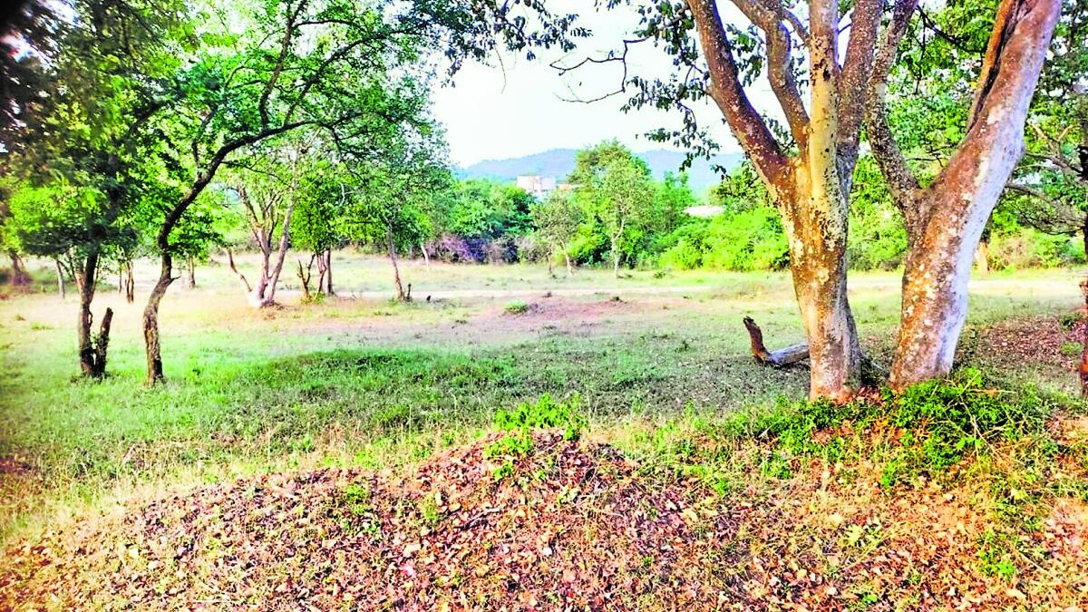 DH Impact: Minister Khandre orders crackdown on conspiracy to grab forest land