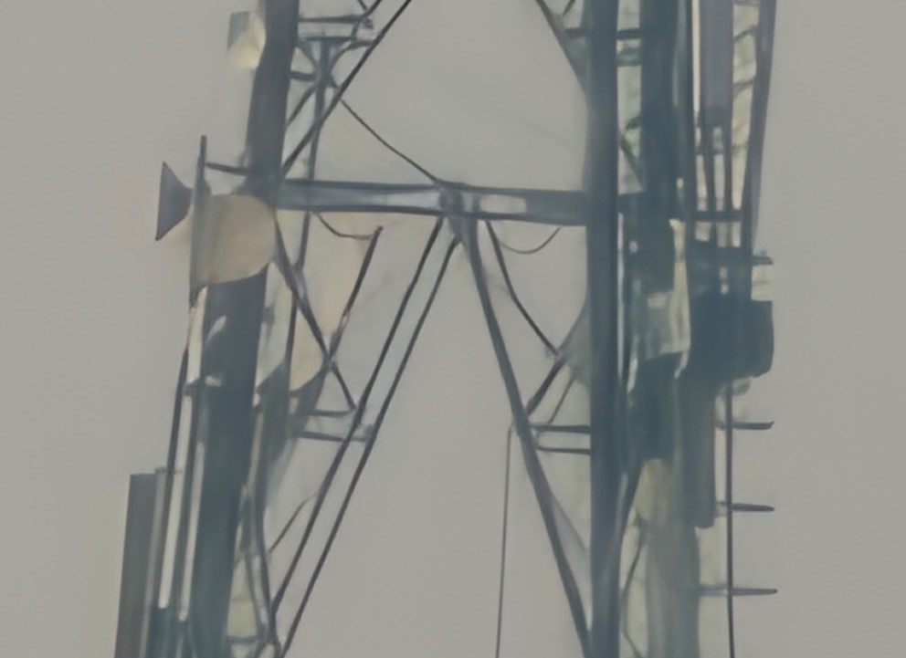 iQOO 15's camera sample with 100X Zoom.