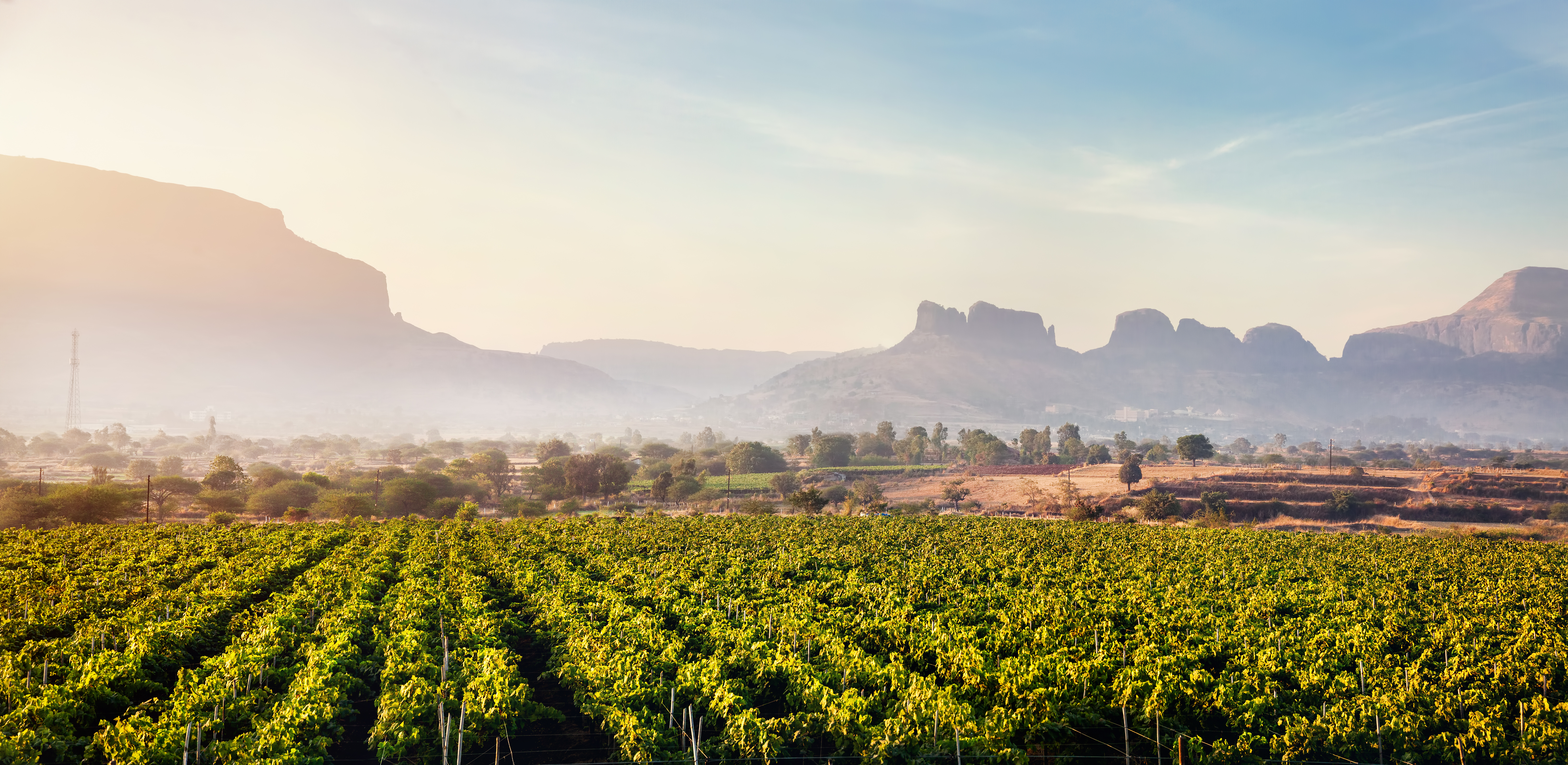 Nashik is known as the 'Wine Capital' of India. 