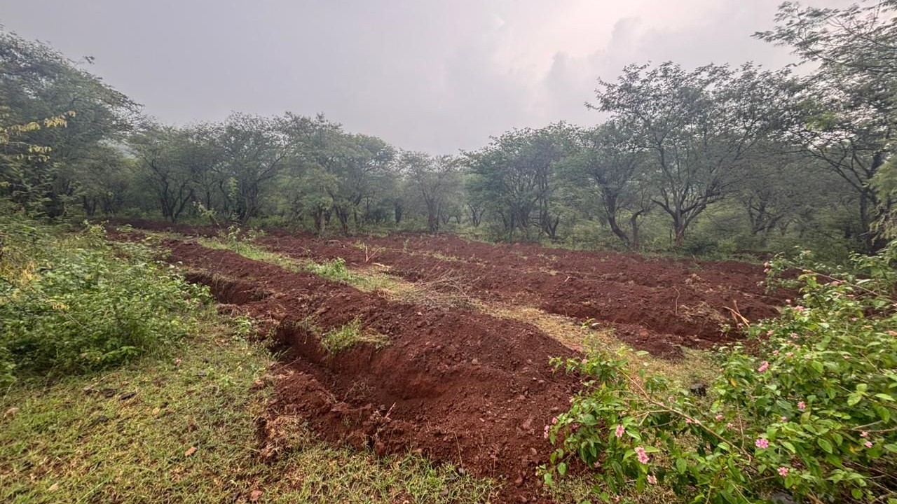 Activists allege pits dug by forest dept  for soil conservation in Cauvery Sanctuary violated multiple rules
