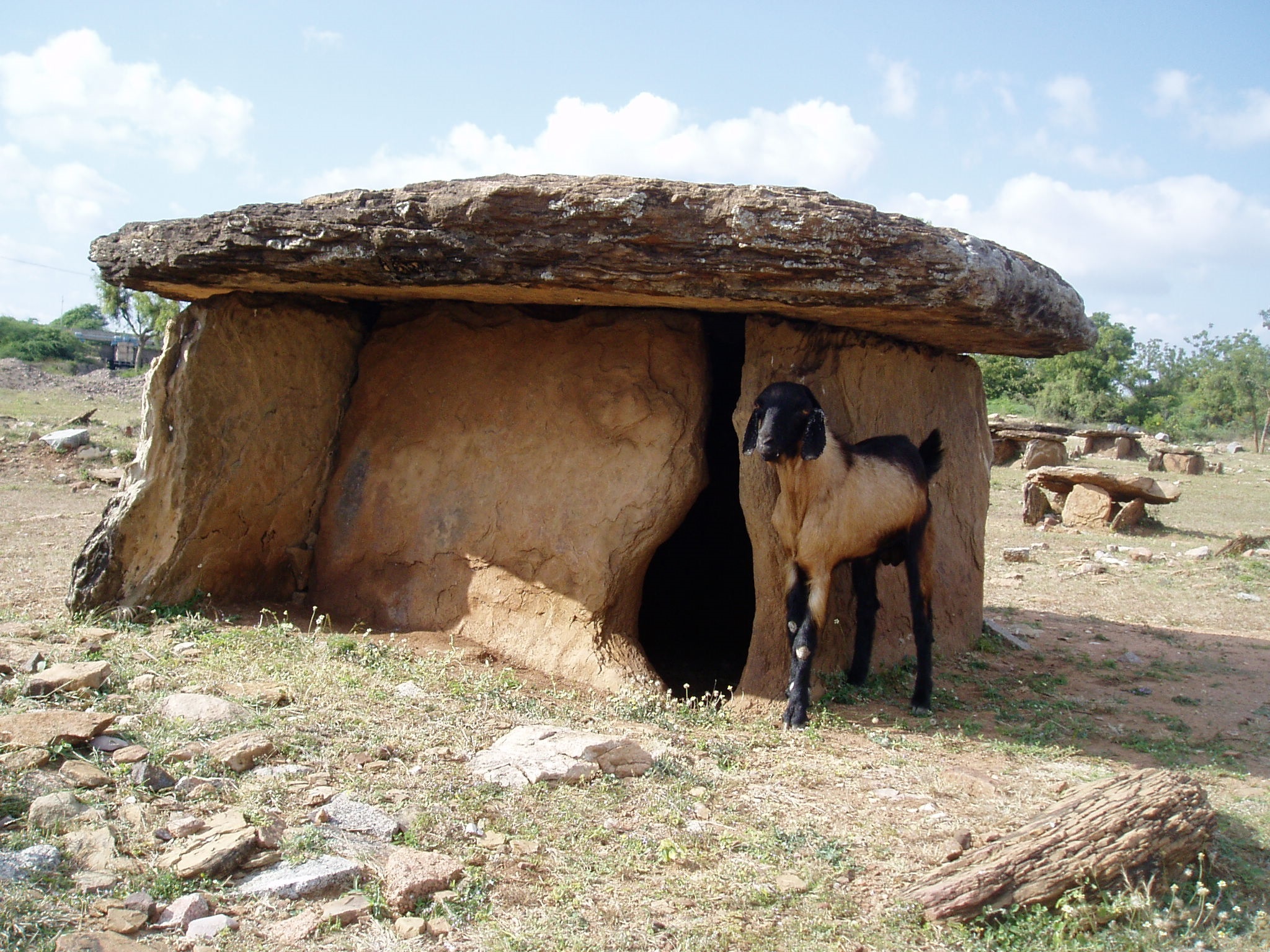 One of the large dolmens at Rajan Kollur. Photo by author