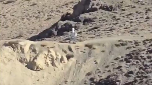 Watch: Robot sighting at India-China border raises concerns about Chinese surveillance 