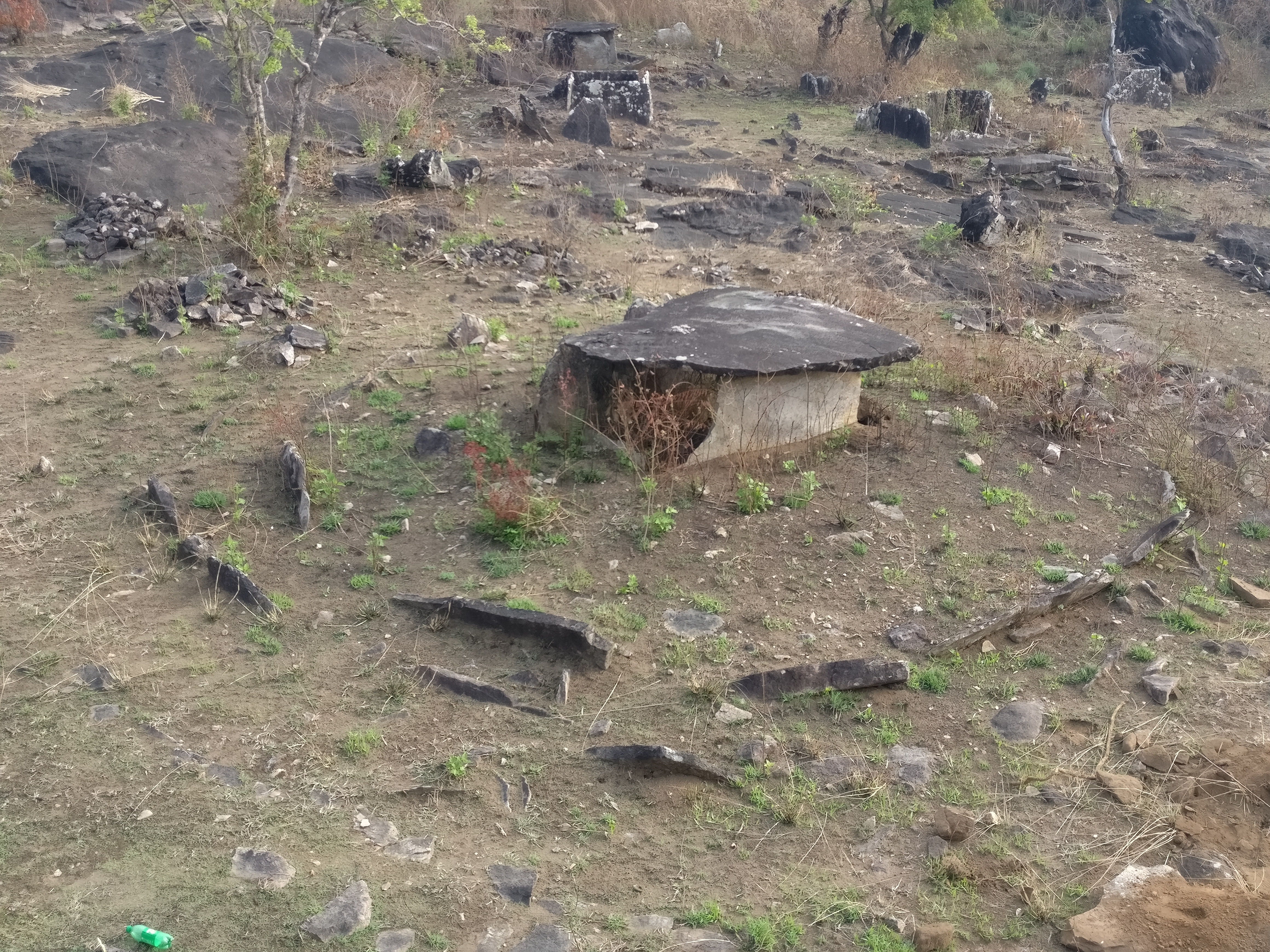 The megalithic site at Doddamolathe in Kodagu district with a dolmen encircled by slab circles in the foreground. 