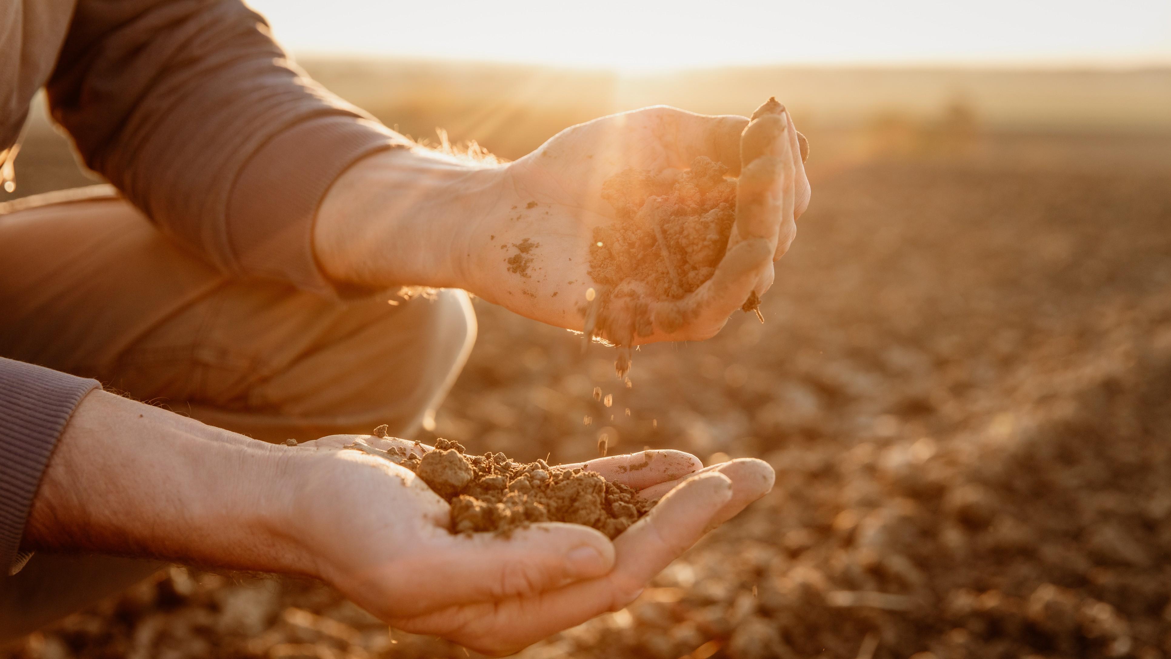 Saving the city from the ground up