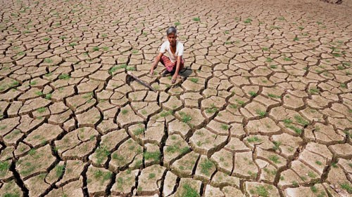 Bidar MP demands a special package for rain-hit farmers in North Karnataka