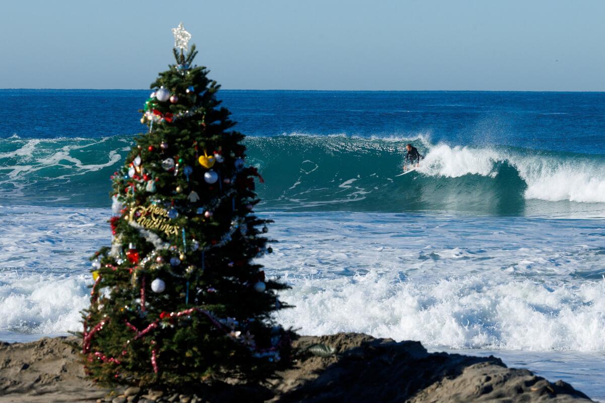 A surfer rides behind a Christmas tree placed on the beach by 73 year-old Johnny Seaside at Cardiff State Beach in Encinitas, California, US