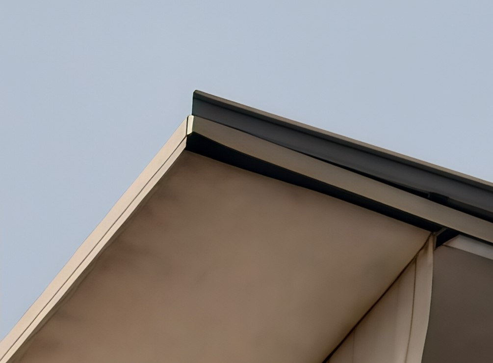 Vivo X300 Pro camera sample with 100X zoom.