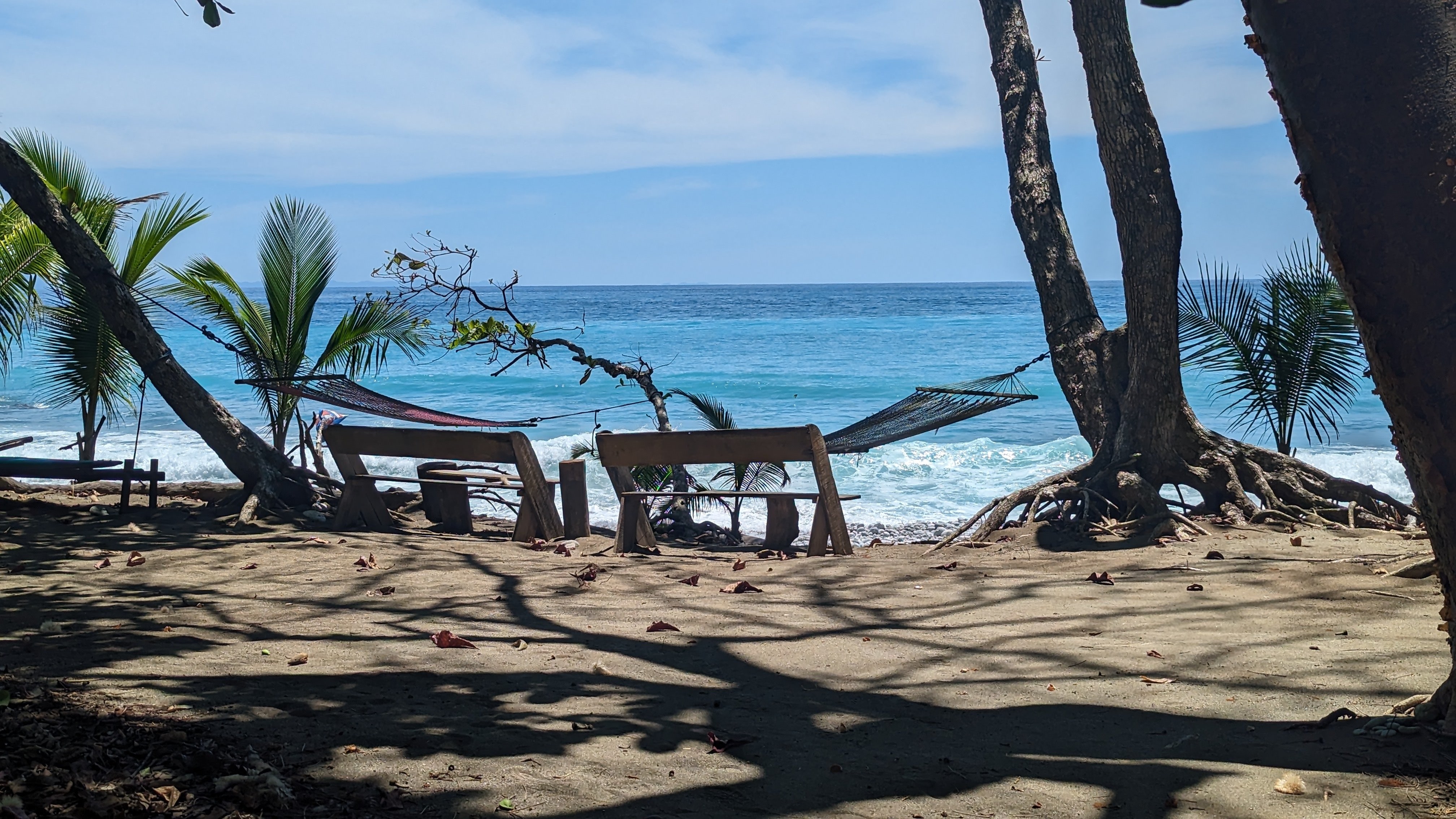 Call of the wild: Costa Rica’s Osa Peninsula - A transformative journey from jungle to sea