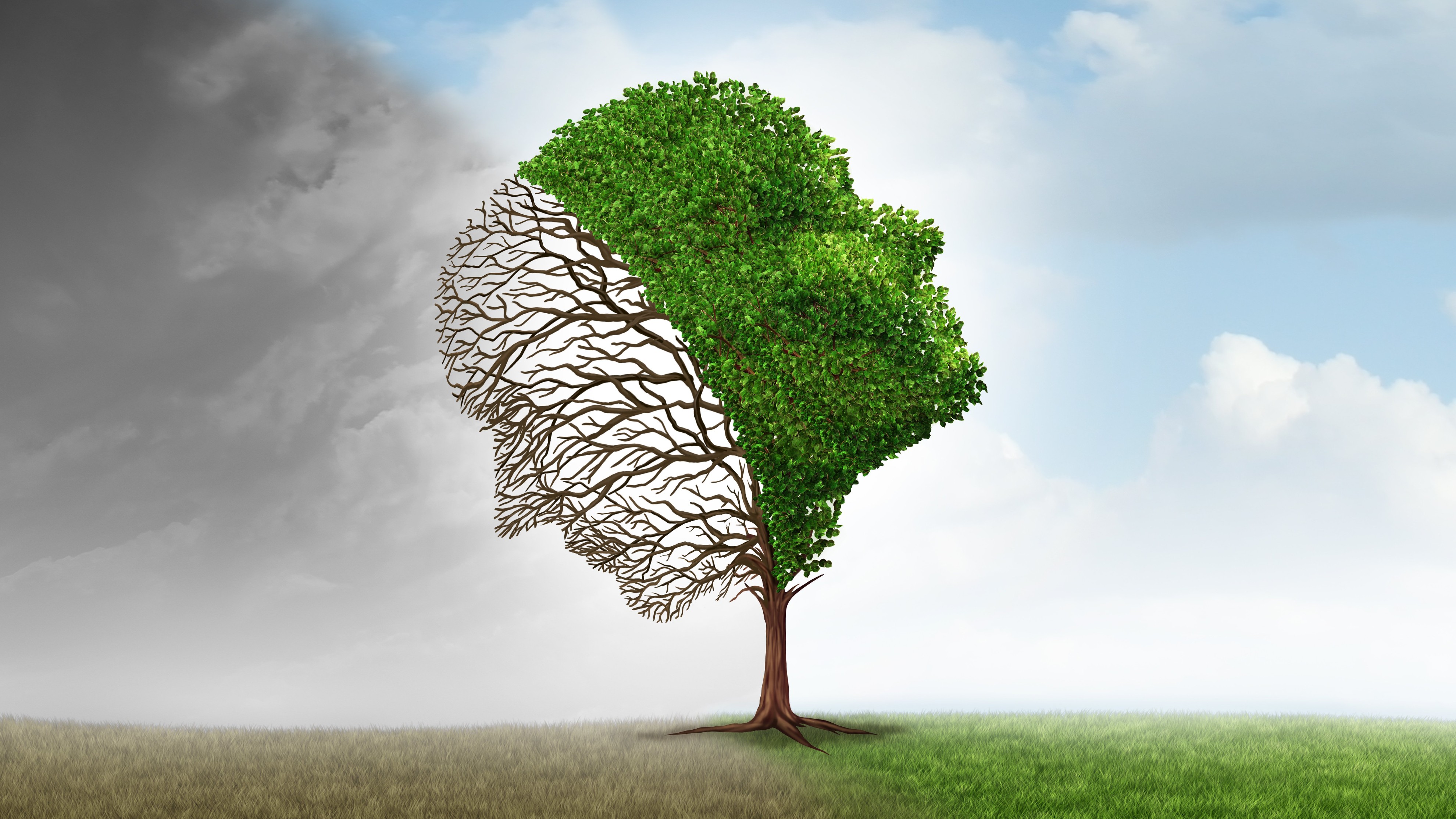 Seasonal depression explained: Symptoms, causes, and effective remedies