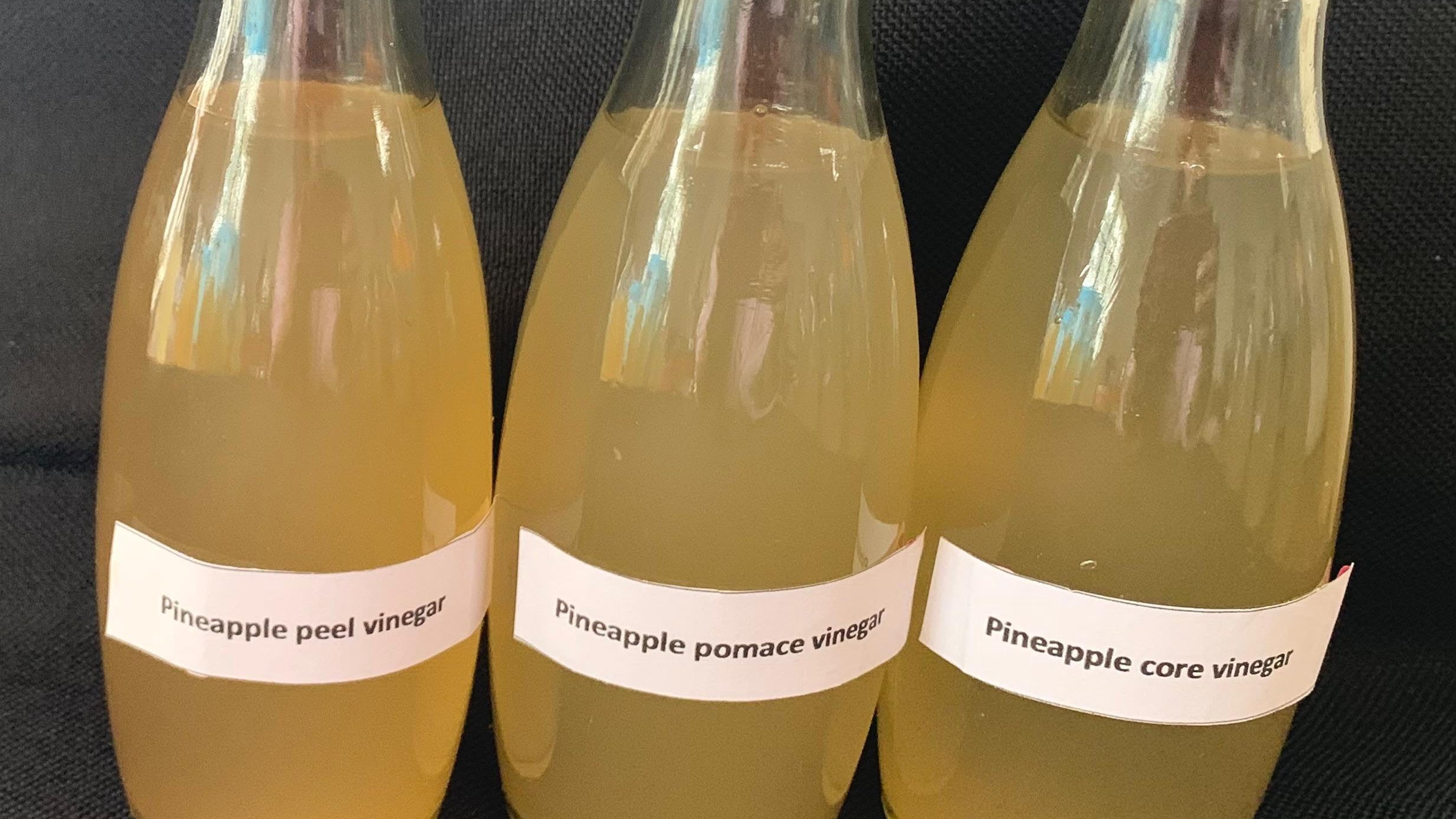 Nagaland University researchers produce vinegar from pineapple waste, aim to generate employment