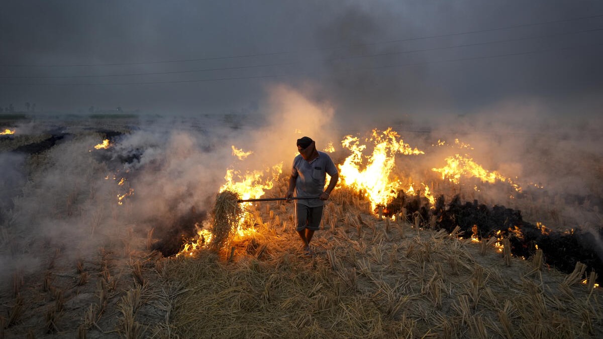 Punjab, Haryana farmers change stubble burning time window to avoid satellite detection