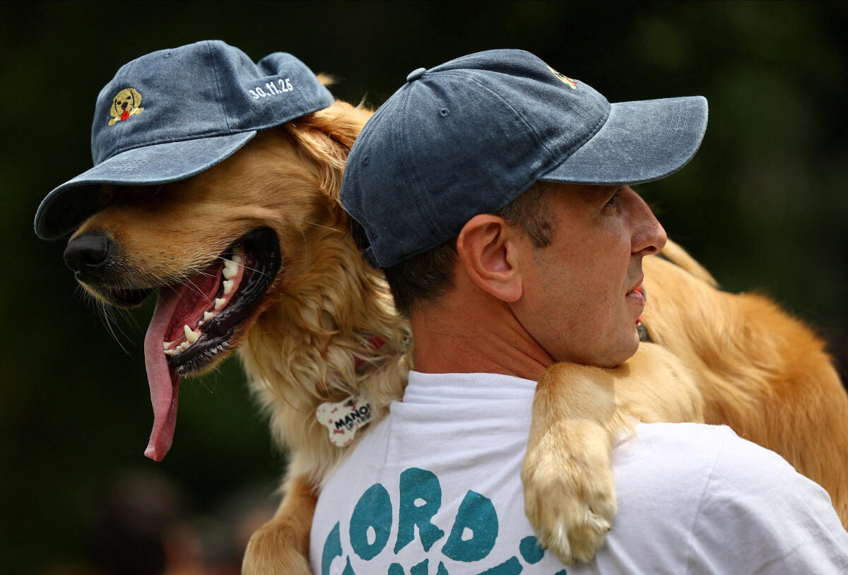 A man holds a Golden Retriever wearing a cap during a meetup seeking to break the world record for the largest gathering of the breed, in Buenos Aires, Argentina.