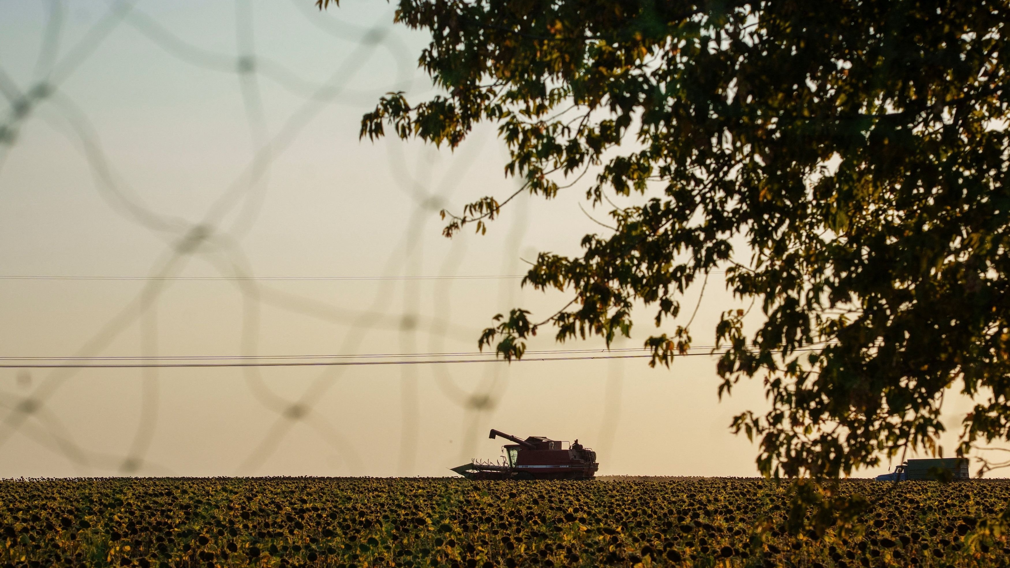 Sarva Dharma Ashram attacked by miscreants; four injured