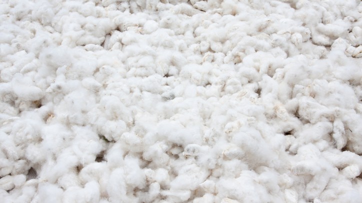Cotton Association of India urges govt to remove import duty of 11% on imports of raw cotton