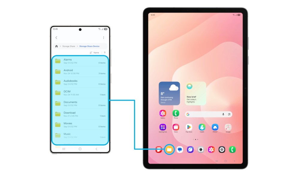 Storage Share feature.