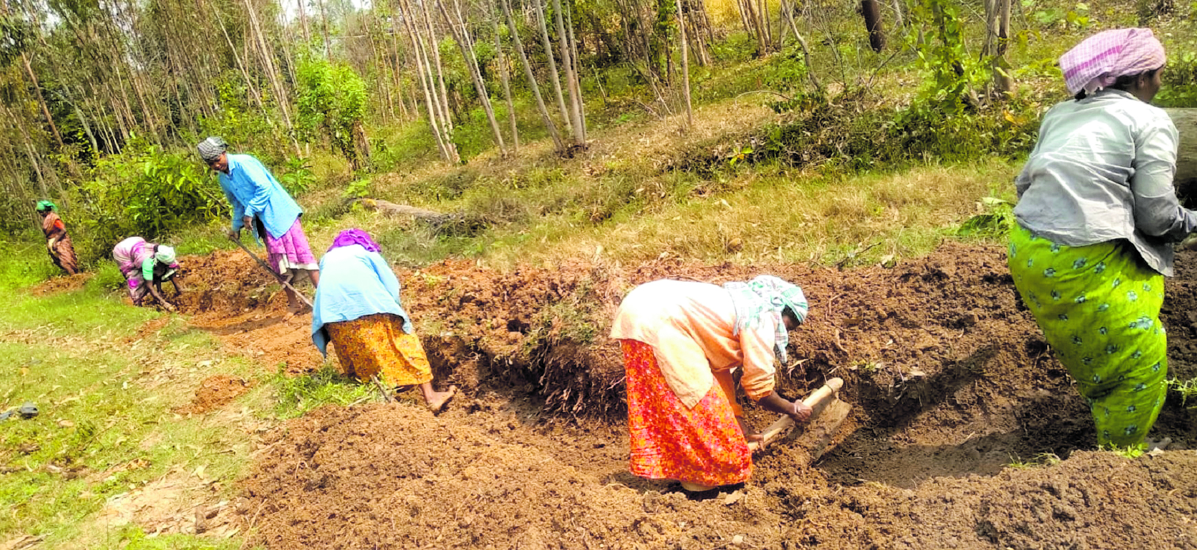 Women develop a canal in O Mittur gram panchayat in Kolar district. DH Photo