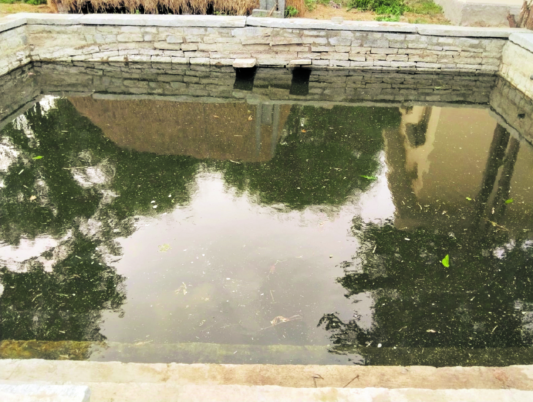 A Kalyani at Pichaguntlahalli in Kolar filled with water after it was desilted by member of the Aarohana Grameenabhivrudhi Samsthe. DH Photo